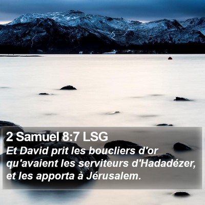 2 Samuel 8:7 LSG Bible Verse Image