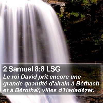 2 Samuel 8:8 LSG Bible Verse Image