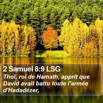 2 Samuel 8:9 LSG Bible Verse Image