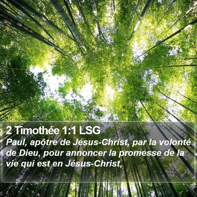 2 Timothée 1:1 LSG Bible Verse Image