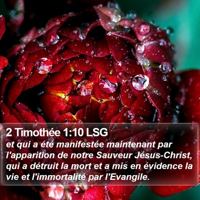 2 Timothée 1:10 LSG Bible Verse Image