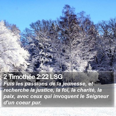 2 Timothée 2:22 LSG Bible Verse Image