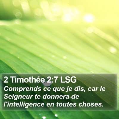 2 Timothée 2:7 LSG Bible Verse Image