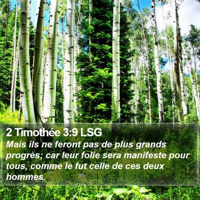 2 Timothée 3:9 LSG Bible Verse Image