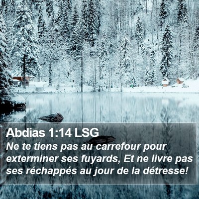 Abdias 1:14 LSG Bible Verse Image