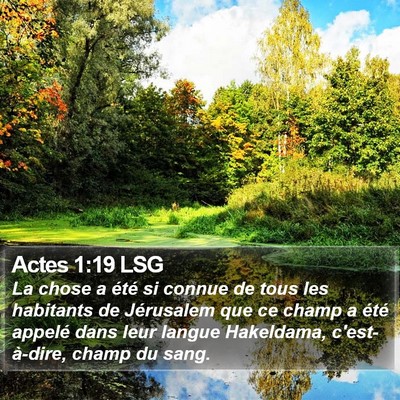 Actes 1:19 LSG Bible Verse Image