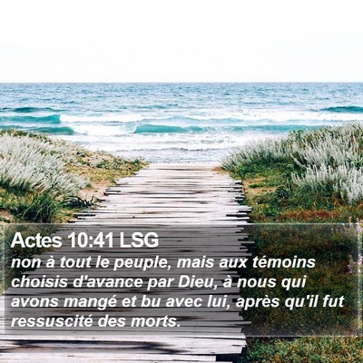 Actes 10:41 LSG Bible Verse Image