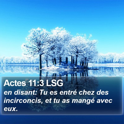 Actes 11:3 LSG Bible Verse Image
