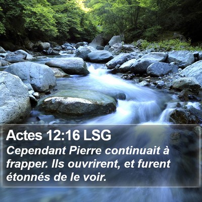 Actes 12:16 LSG Bible Verse Image