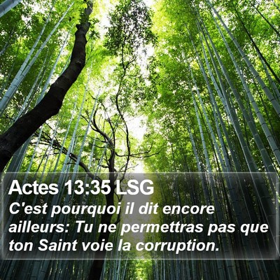 Actes 13:35 LSG Bible Verse Image