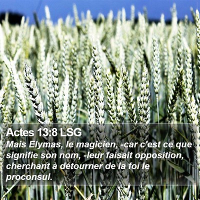 Actes 13:8 LSG Bible Verse Image