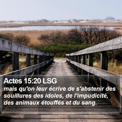 Actes 15:20 LSG Bible Verse Image