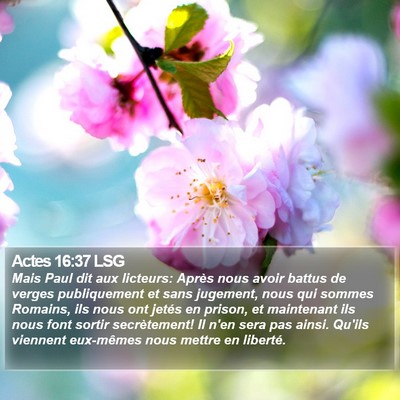 Actes 16:37 LSG Bible Verse Image