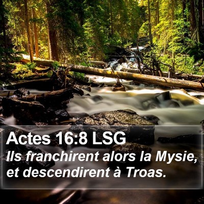 Actes 16:8 LSG Bible Verse Image