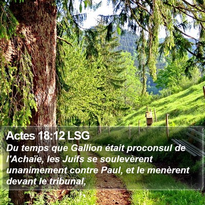 Actes 18:12 LSG Bible Verse Image