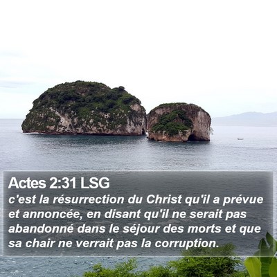 Actes 2:31 LSG Bible Verse Image