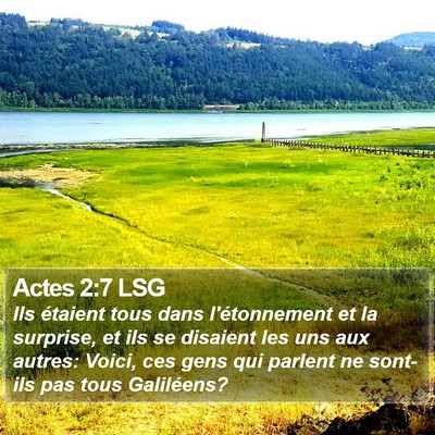 Actes 2:7 LSG Bible Verse Image