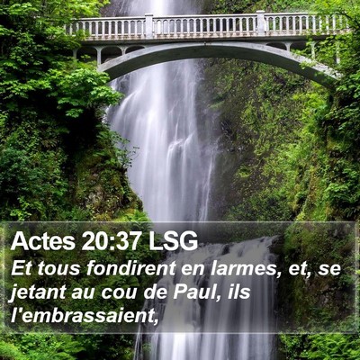 Actes 20:37 LSG Bible Verse Image