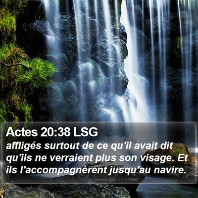Actes 20:38 LSG Bible Verse Image