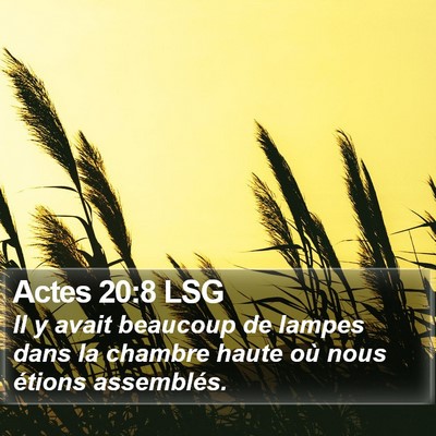 Actes 20:8 LSG Bible Verse Image