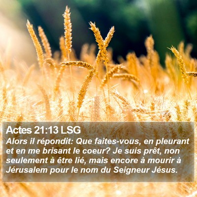 Actes 21:13 LSG Bible Verse Image