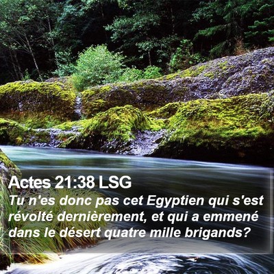 Actes 21:38 LSG Bible Verse Image