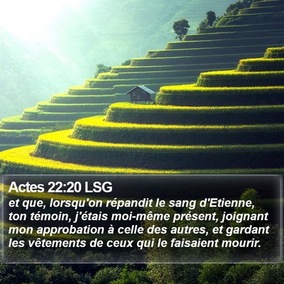 Actes 22:20 LSG Bible Verse Image