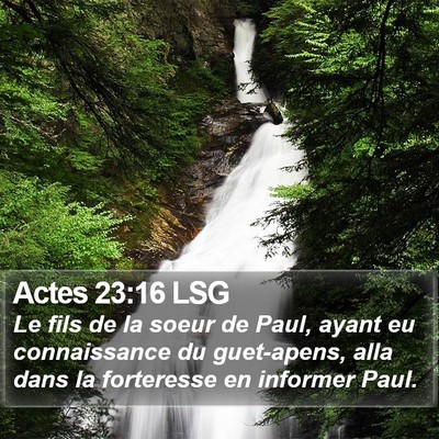 Actes 23:16 LSG Bible Verse Image