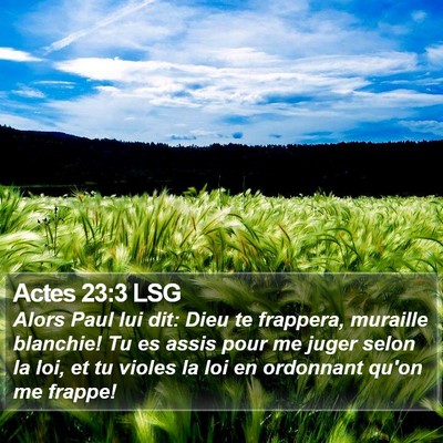 Actes 23:3 LSG Bible Verse Image