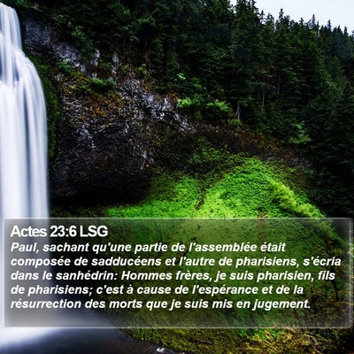 Actes 23:6 LSG Bible Verse Image
