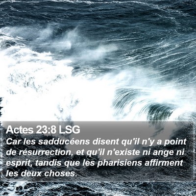 Actes 23:8 LSG Bible Verse Image