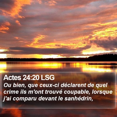 Actes 24:20 LSG Bible Verse Image