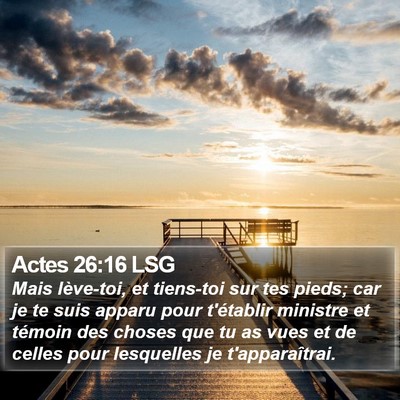 Actes 26:16 LSG Bible Verse Image