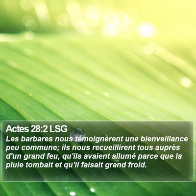 Actes 28:2 LSG Bible Verse Image