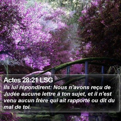 Actes 28:21 LSG Bible Verse Image