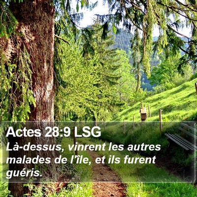 Actes 28:9 LSG Bible Verse Image