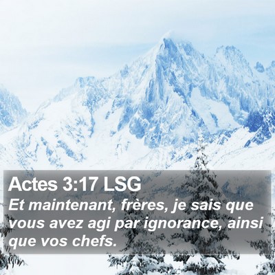 Actes 3:17 LSG Bible Verse Image