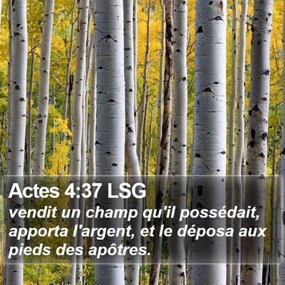 Actes 4:37 LSG Bible Verse Image