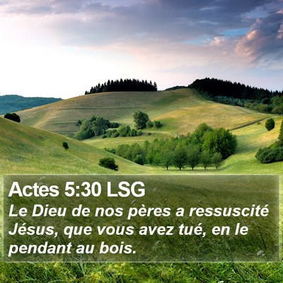 Actes 5:30 LSG Bible Verse Image