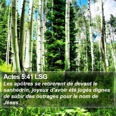 Actes 5:41 LSG Bible Verse Image