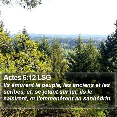 Actes 6:12 LSG Bible Verse Image