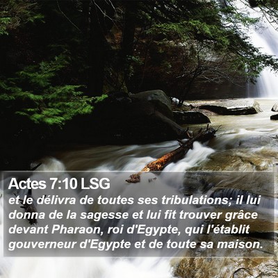 Actes 7:10 LSG Bible Verse Image