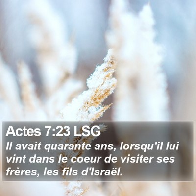 Actes 7:23 LSG Bible Verse Image