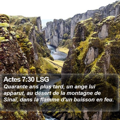 Actes 7:30 LSG Bible Verse Image