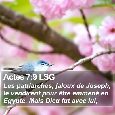 Actes 7:9 LSG Bible Verse Image
