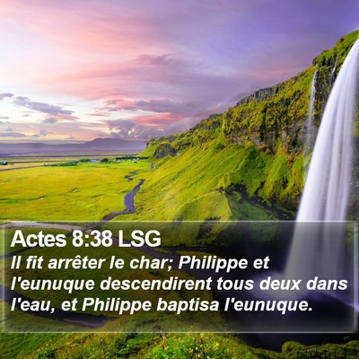 Actes 8:38 LSG Bible Verse Image