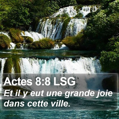 Actes 8:8 LSG Bible Verse Image