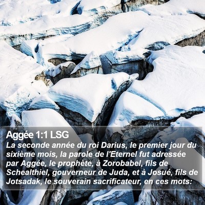 Aggée 1:1 LSG Bible Verse Image
