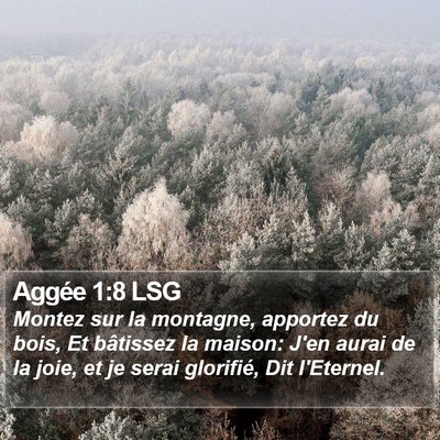 Aggée 1:8 LSG Bible Verse Image