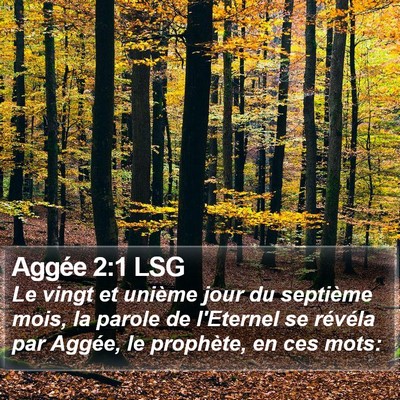 Aggée 2:1 LSG Bible Verse Image